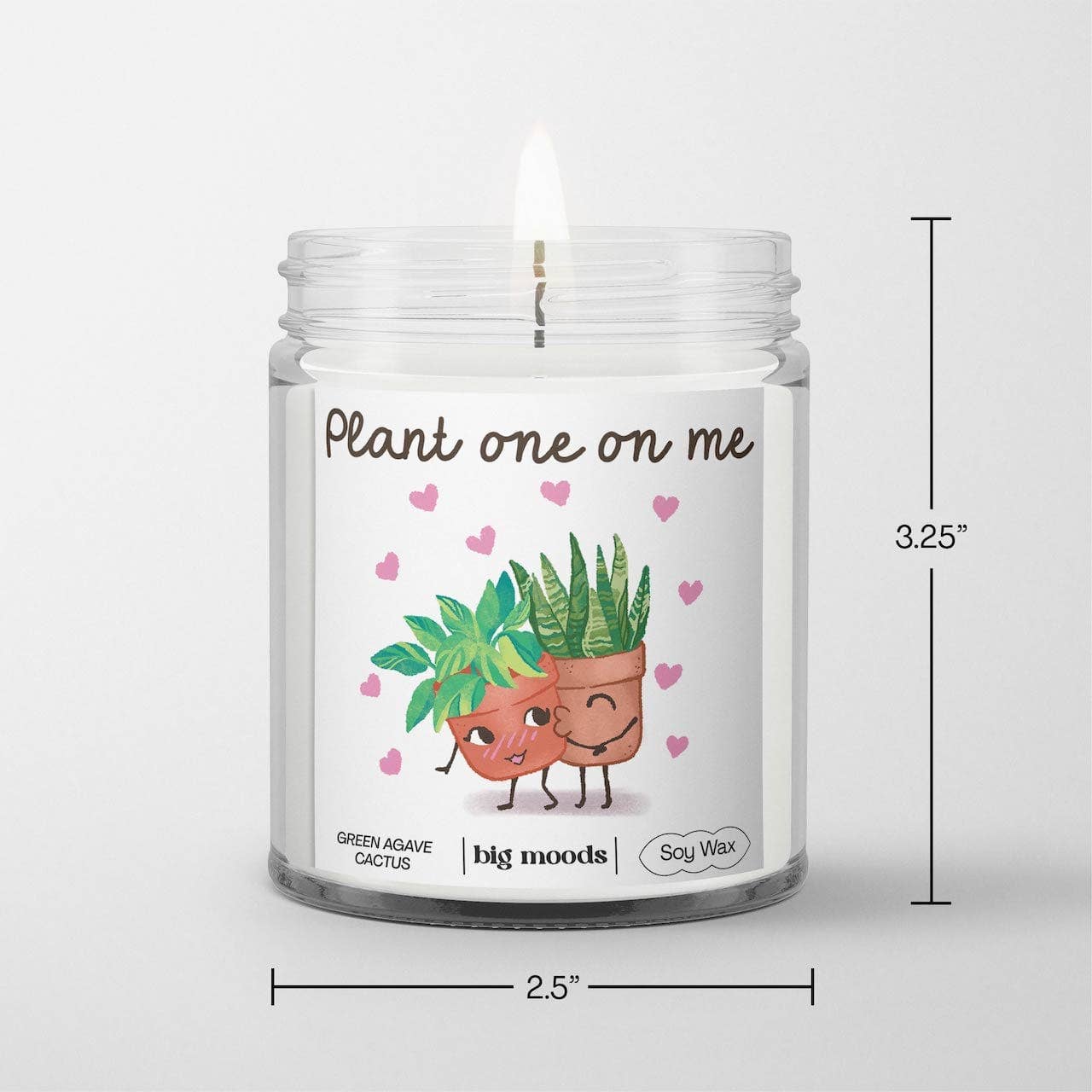 "Plant One On Me" Green Agave Cactus - 5oz Soy Candle - Kate's Collective